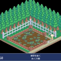 Hakamada's vegetable garden