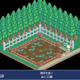 袴田さんの家庭菜園