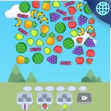 Fruit Catch: Falling Puzzle