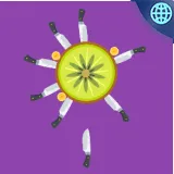 Knife vs Fruits
